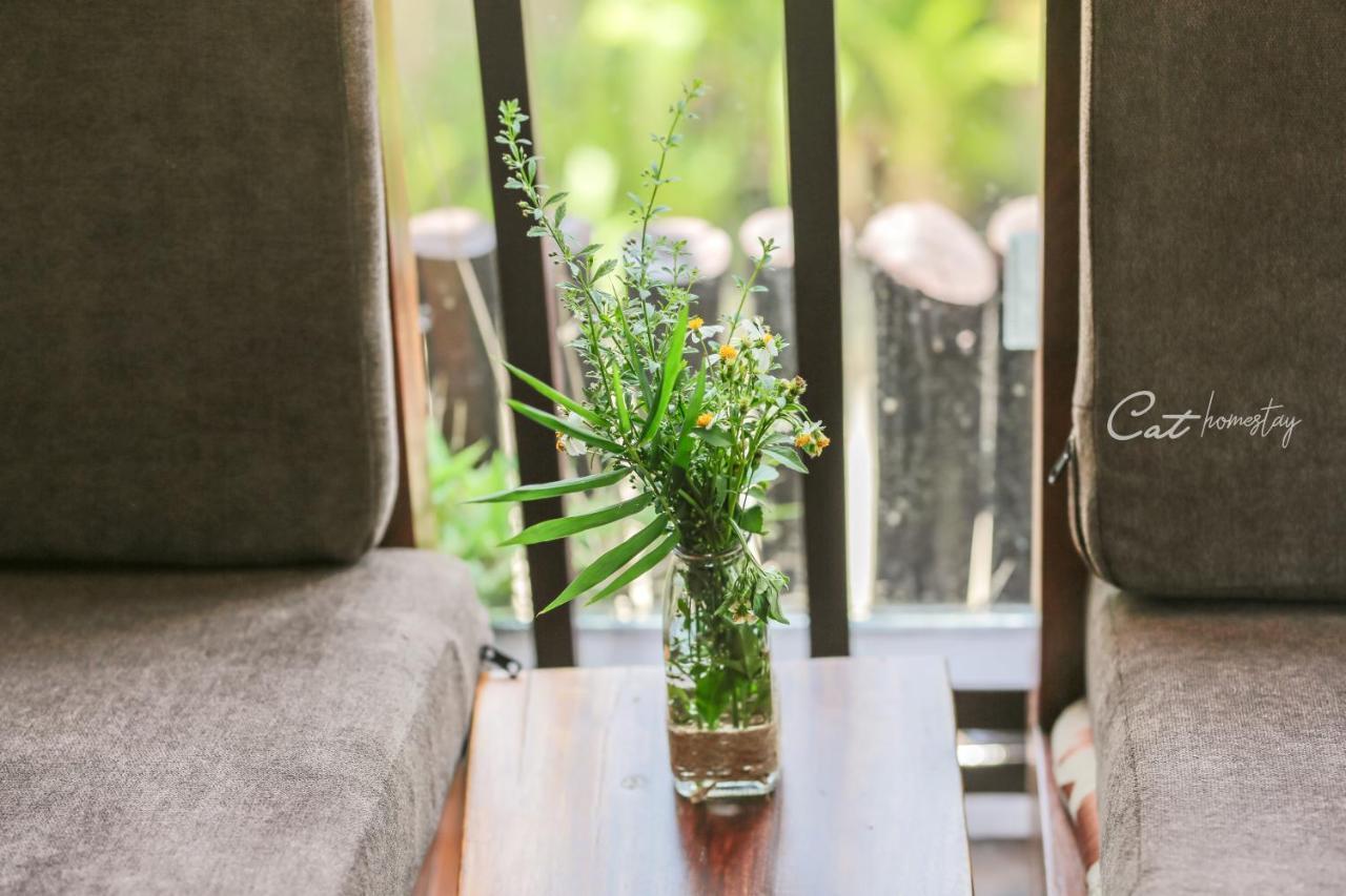 הואה Cat Homestay מראה חיצוני תמונה