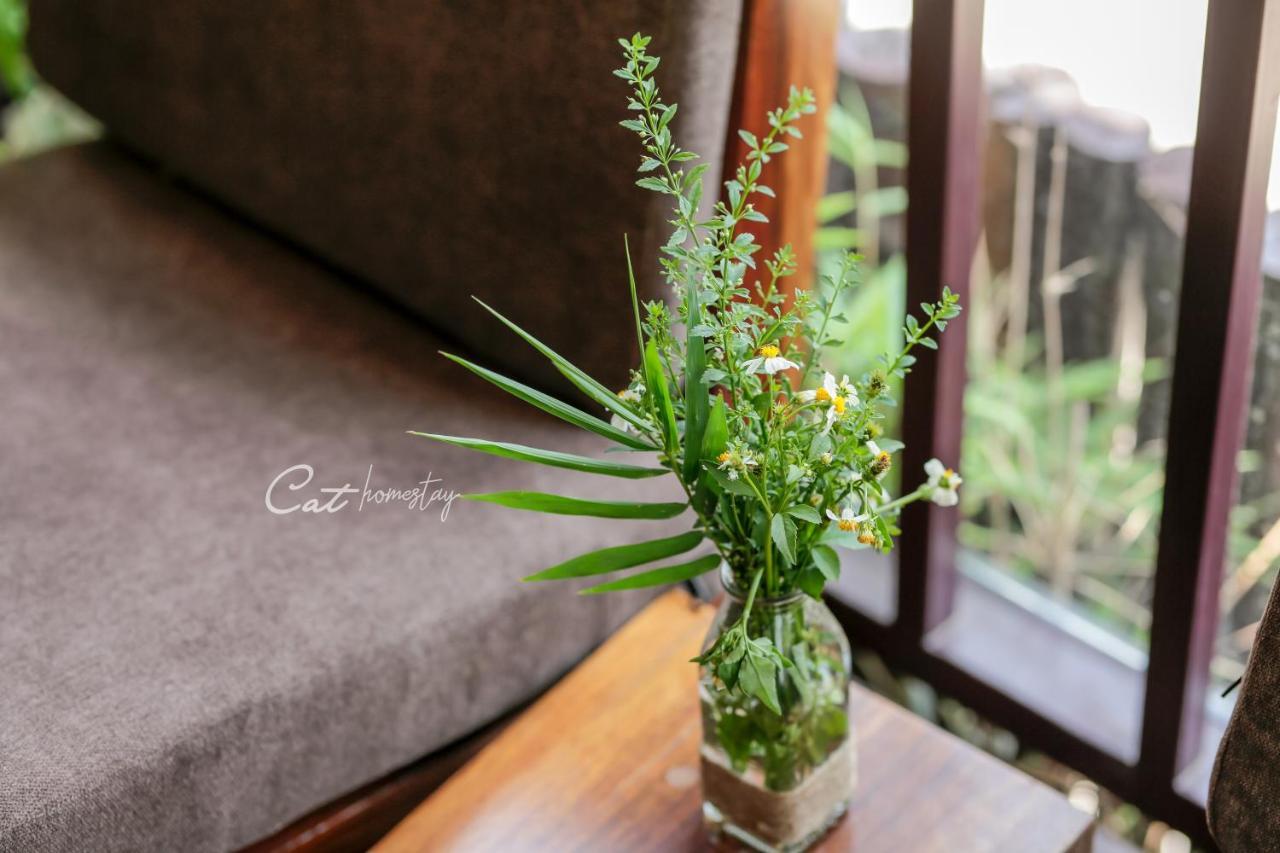 הואה Cat Homestay מראה חיצוני תמונה